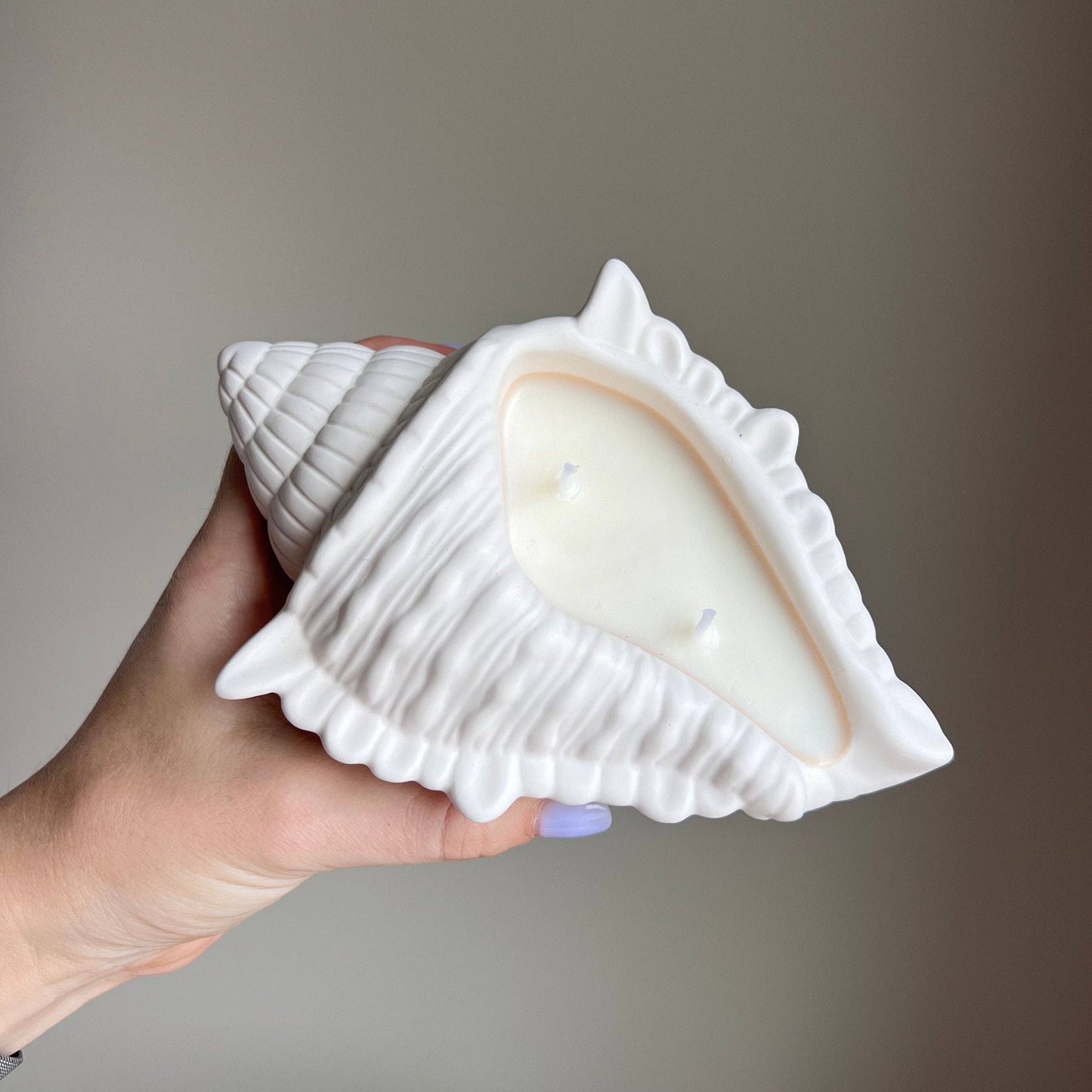 Conch Shell Soy Wax Candle